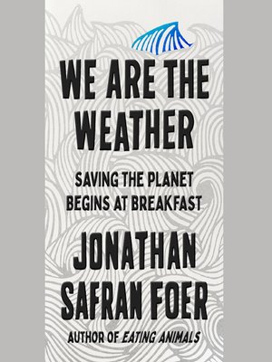 cover image of We Are the Weather